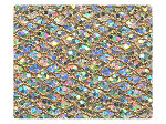 113 Gold Sparklenet